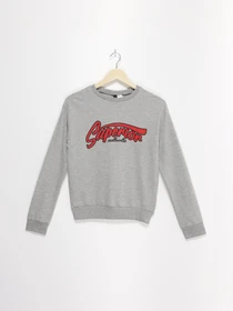 Худі та світшоти H&M модель 05704741_сірий комб. Фото