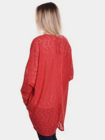 Свитры и кардиганы H&M модель 0584940_червоний Фото