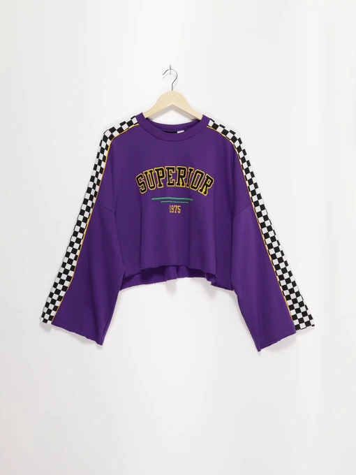 Худі та світшоти H&M модель 0592773_фіолетовий комб. Фото