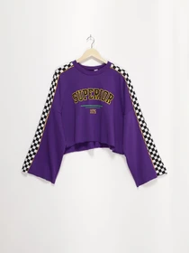 Худі та світшоти H&M модель 0592773_фіолетовий комб. Фото