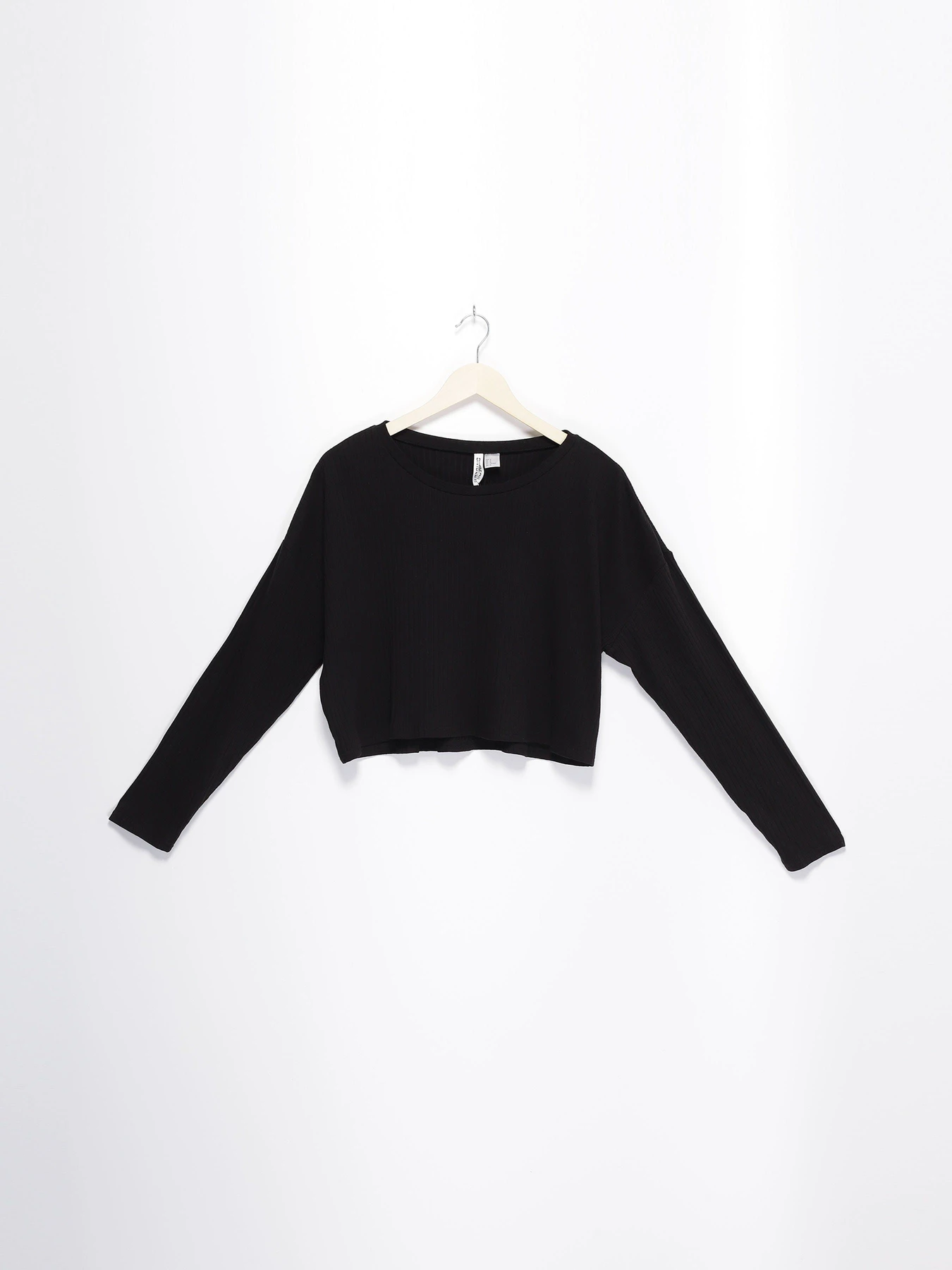 Худі та світшоти H&M модель 0618894_чорний Худі та світшоти H&M модель 0618894_чорний Фото