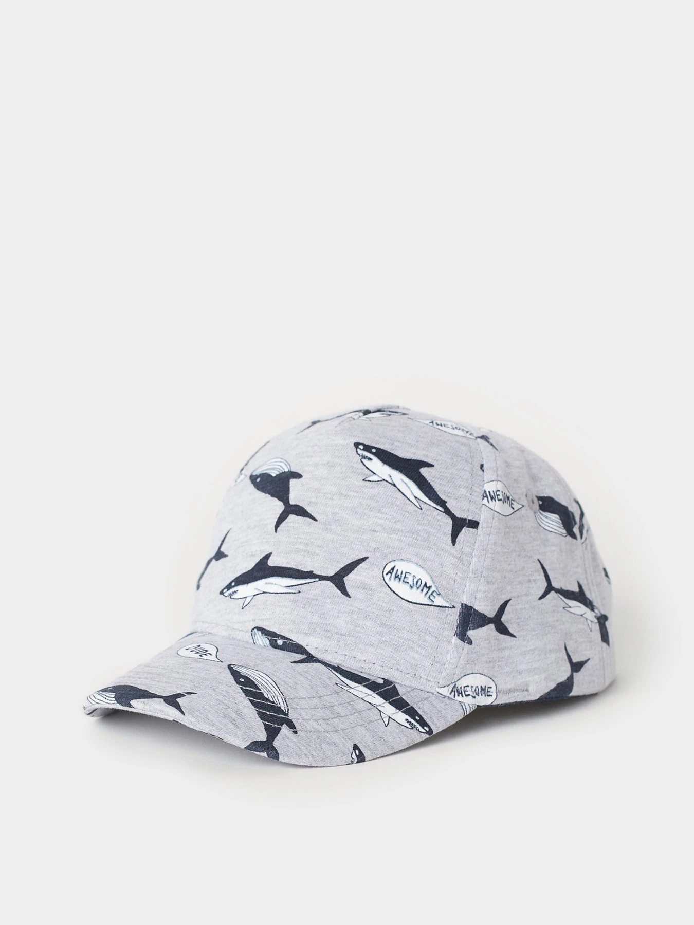 Шапки и кепки H&M модель 0696356_сірий з т.синім Шапки и кепки H&M модель 0696356_сірий з т.синім Фото