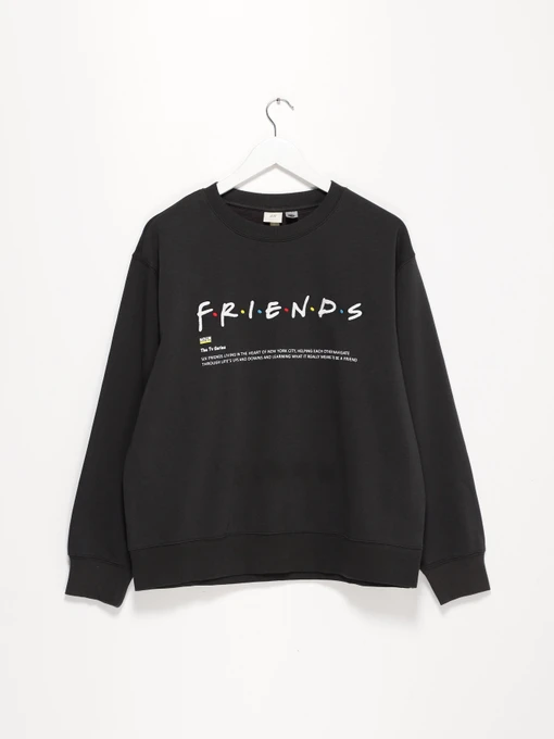 Худі та світшоти H&M модель 0809349_т.сірий комб. Фото