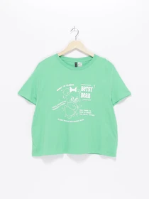 Футболки и поло H&M модель 0950725_зелений з білим Фото