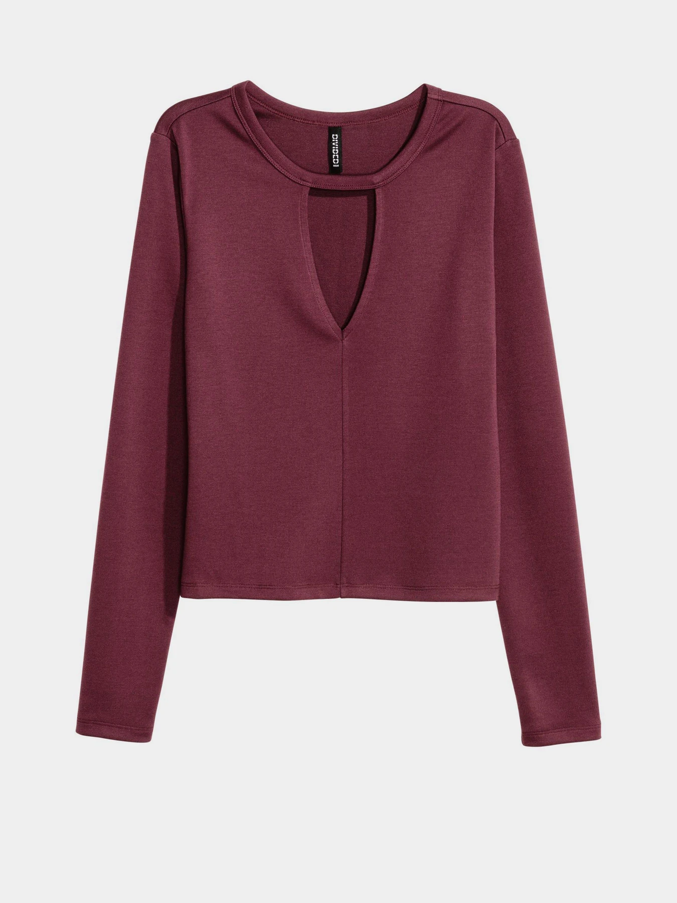 Худі та світшоти H&M модель 0425783_бордовий Фото
