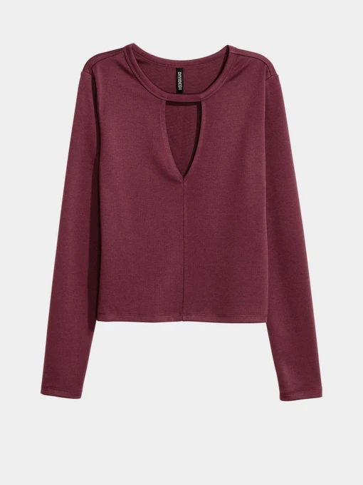 Худі та світшоти H&M модель 0425783_бордовий Фото