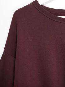 Худі та світшоти H&M модель 0676166_бордовий Фото
