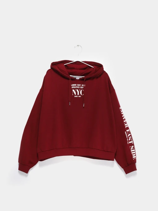 Худі та світшоти H&M модель 07546971_бордовий Фото