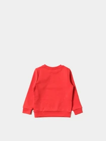 Худи и свитшоты Boss модель J25L96/97E Фото