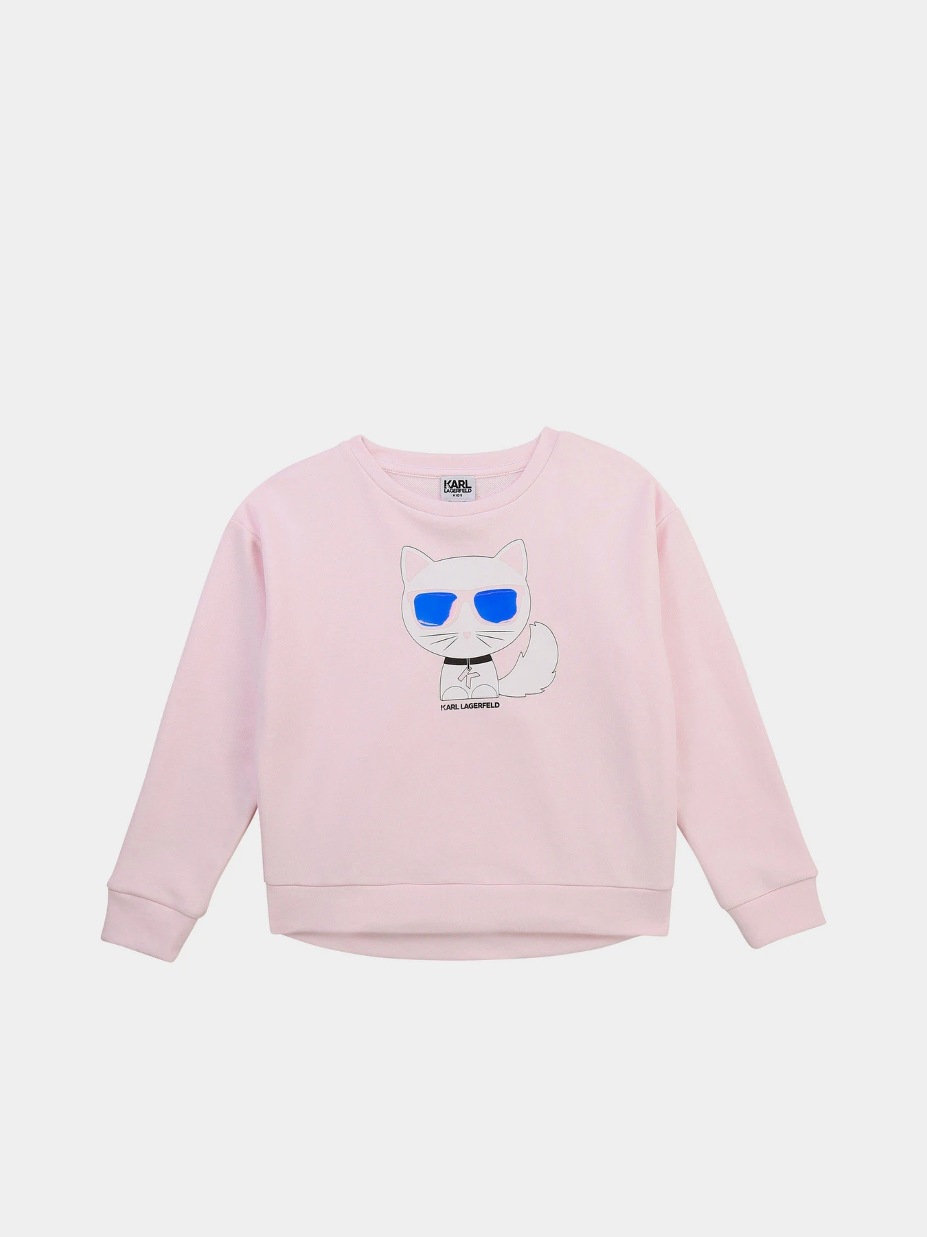 Худи и свитшоты Karl Lagerfeld Kids модель Z15313/44A Фото