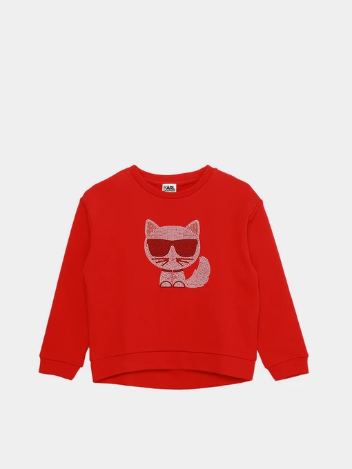 Худі та світшоти Karl Lagerfeld Kids модель Z15338/963 Фото