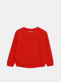 Худи и свитшоты Karl Lagerfeld Kids модель Z15338/963 Фото