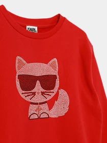 Худи и свитшоты Karl Lagerfeld Kids модель Z15338/963 Фото