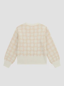 Худи и свитшоты GUESS модель J4BR04.Z3K10;P1EM Фото