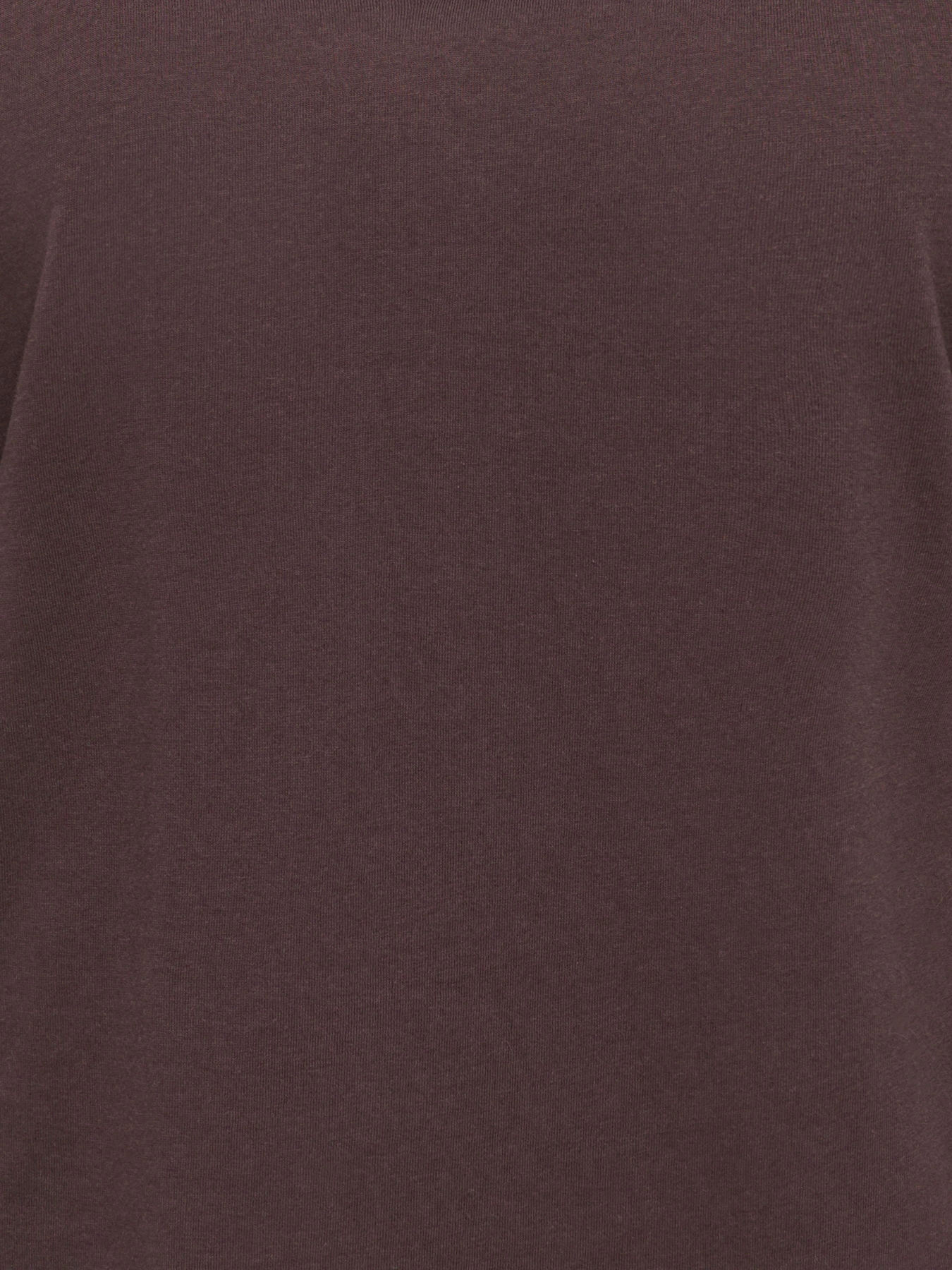Худи и свитшоты JDY REX L/S V NECK TOP JRS модель 15379075_Coffee Bean Худи и свитшоты JDY REX L/S V NECK TOP JRS модель 15379075_Coffee Bean Фото