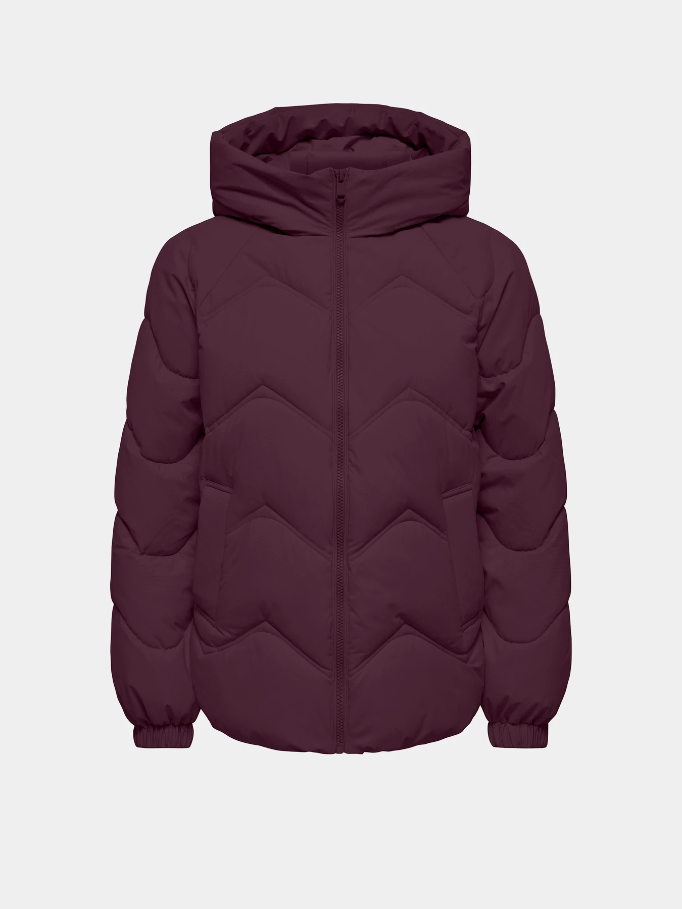 Куртки и дубленки JDY POWER SHORT HOOD PUFFER OTW модель 15376541_Fig Куртки и дубленки JDY POWER SHORT HOOD PUFFER OTW модель 15376541_Fig Фото