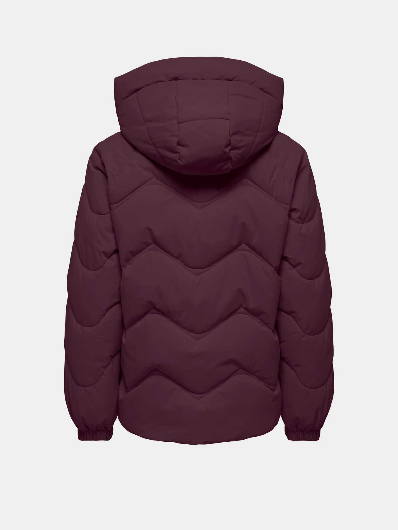 Куртки и дубленки JDY POWER SHORT HOOD PUFFER OTW модель 15376541_Fig Куртки и дубленки JDY POWER SHORT HOOD PUFFER OTW модель 15376541_Fig Фото