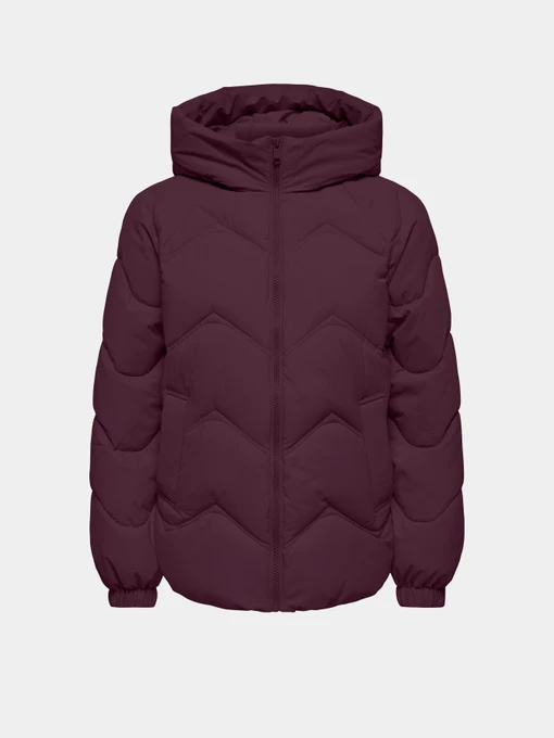 Куртки и дубленки JDY POWER SHORT HOOD PUFFER OTW модель 15376541_Fig Фото