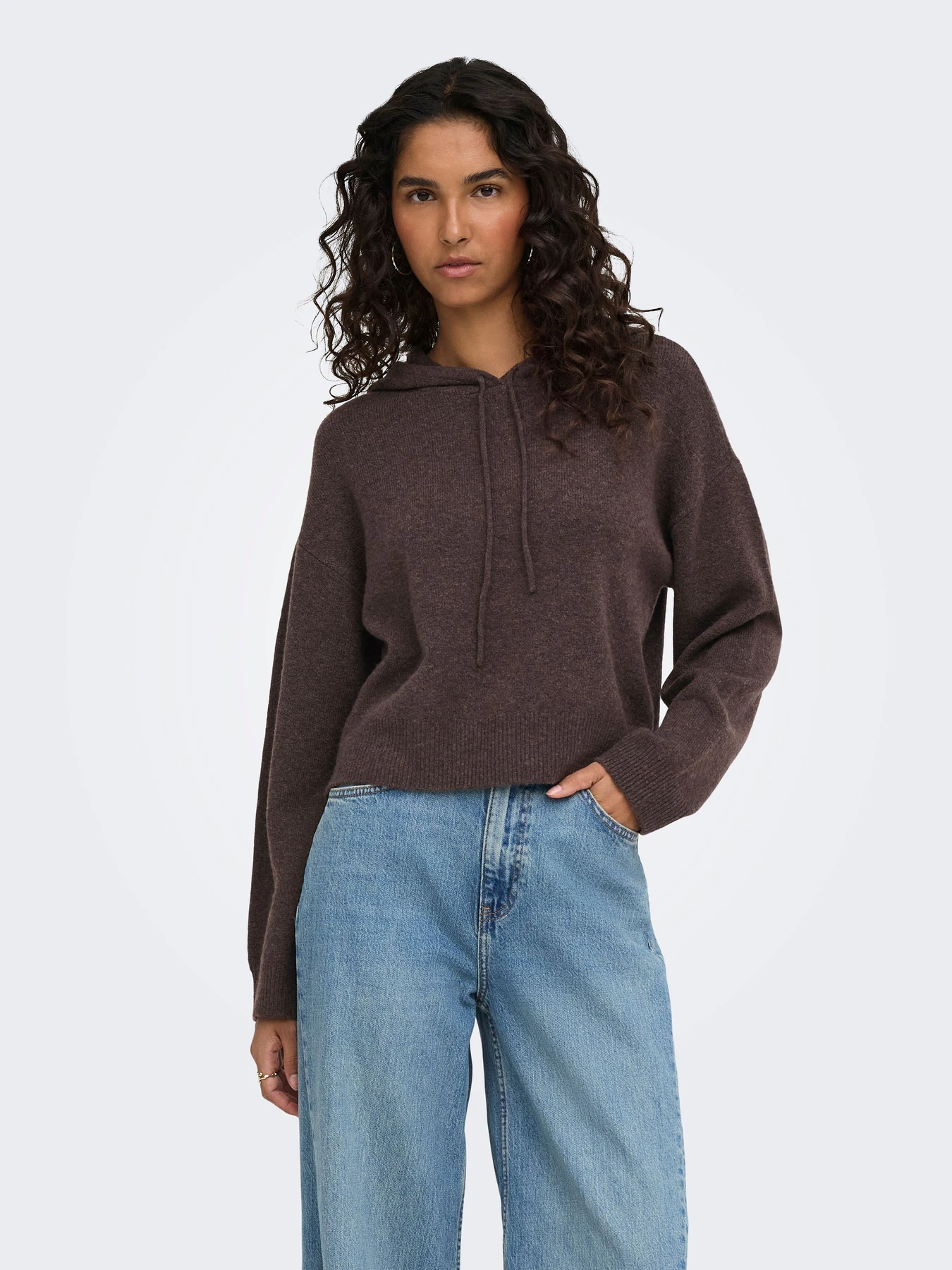 Худі та світшоти JDY RUE LIFE L/S SHORT HOOD PUL KN модель 15314870_Bracken MELANGE Худі та світшоти JDY RUE LIFE L/S SHORT HOOD PUL KN модель 15314870_Bracken MELANGE Фото