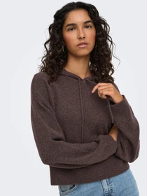 Худі та світшоти JDY RUE LIFE L/S SHORT HOOD PUL KN модель 15314870_Bracken MELANGE Фото