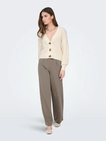 Брюки JDY GEGGO LIFE NEW LONG PANT модель 15208430_Driftwood BLACK BUTTONS Фото
