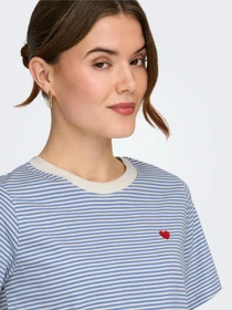 Футболки и поло JDY PISA S/S PRINT TOP модель 15298612_Ebb And Flow CD STRIPES AN Фото