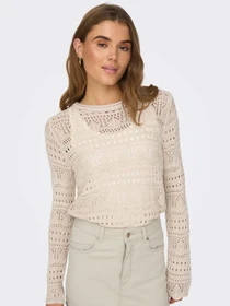 Худи и свитшоты JDY SUN LAY L/S BOATNECK PULLOV. K модель 15287384_Tapioca Фото