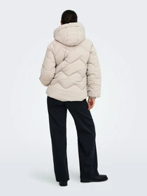 Куртки та дублянки JDY POWER SHORT HOOD PUFFER OTW модель 15376541_Silver Lining Фото