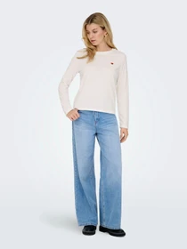 Худи и свитшоты JDY PISA L/S PRINT TOP JRS DIA модель 15359938_Cloud Dancer BITTERSWEET H Фото