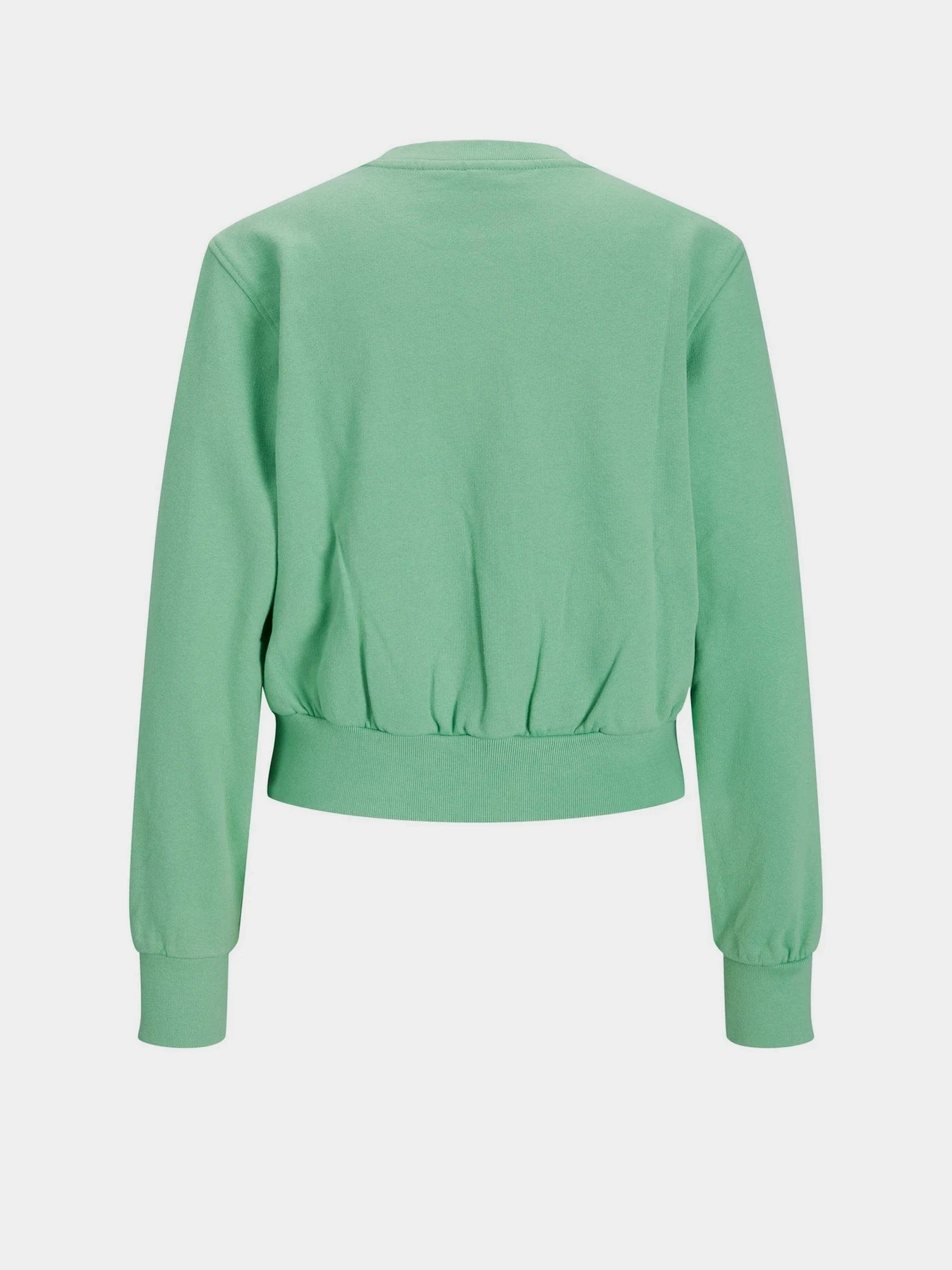 Худи и свитшоты JJXX JXBella модель 12200366_Absinthe Green Худи и свитшоты JJXX JXBella модель 12200366_Absinthe Green Фото