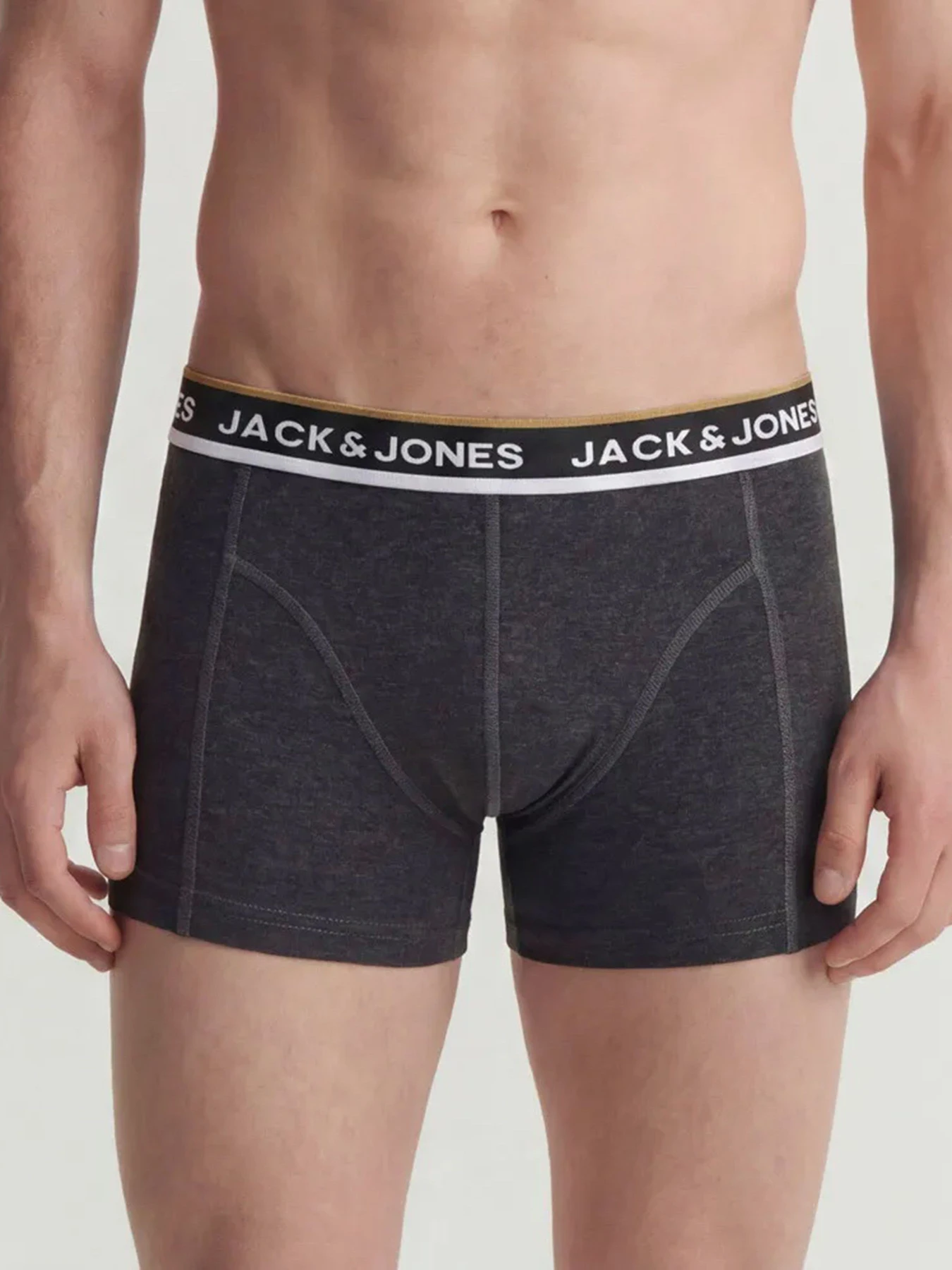 Нижнее белье JACK & JONES SWAY SOLID TRUNKS модель 12298997_Scarab DGM - Black Нижнее белье JACK & JONES SWAY SOLID TRUNKS модель 12298997_Scarab DGM - Black Фото