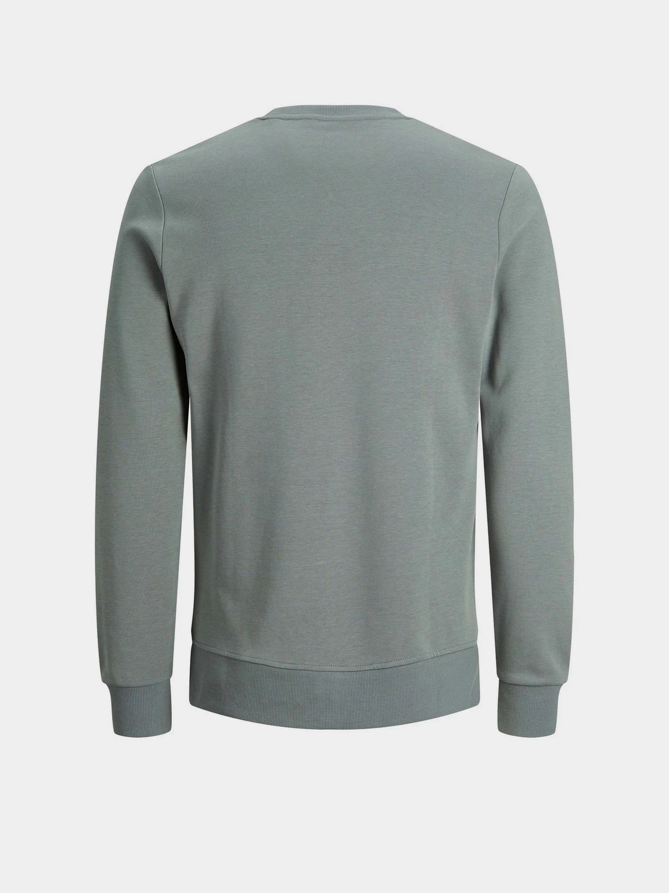Худи и свитшоты JACK & JONES модель 12181903_Sedona Sage Худи и свитшоты JACK & JONES модель 12181903_Sedona Sage Фото
