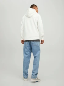 Худи и свитшоты JACK & JONES модель 12210830_Cloud Dancer Фото