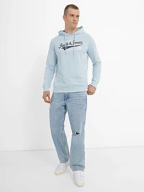 Худі та світшоти JACK & JONES модель 12231322_Winter Sky Фото