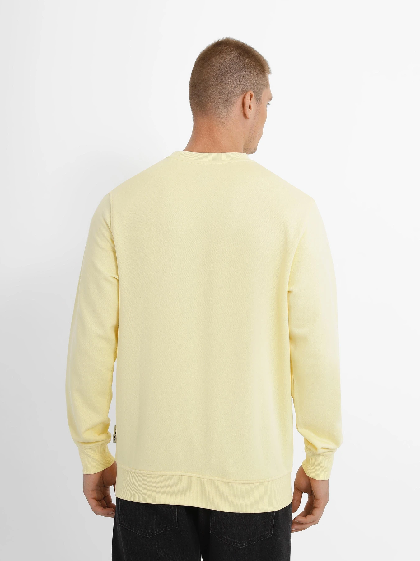 Худи и свитшоты JACK & JONES модель 12235353_French Vanilla Худи и свитшоты JACK & JONES модель 12235353_French Vanilla Фото