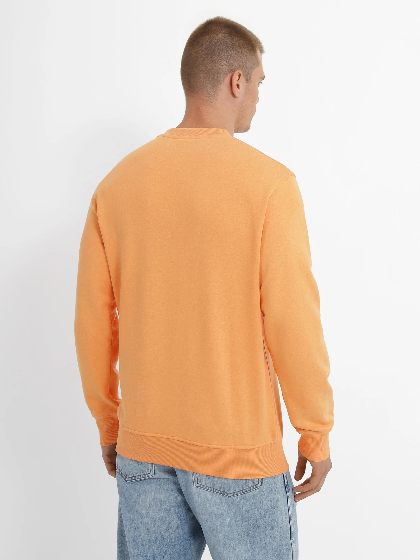 Худі та світшоти JACK & JONES модель 12235353_Pumpkin Худі та світшоти JACK & JONES модель 12235353_Pumpkin Фото