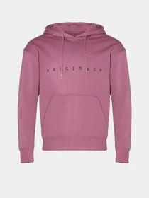 Худі та світшоти JACK & JONES модель 12176864_Bordeaux Фото