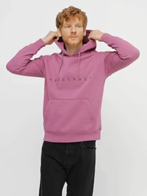 Худі та світшоти JACK & JONES модель 12176864_Bordeaux Фото