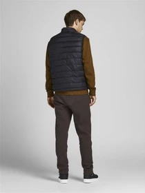Брюки JACK & JONES модель 12178421_Seal Brown Фото