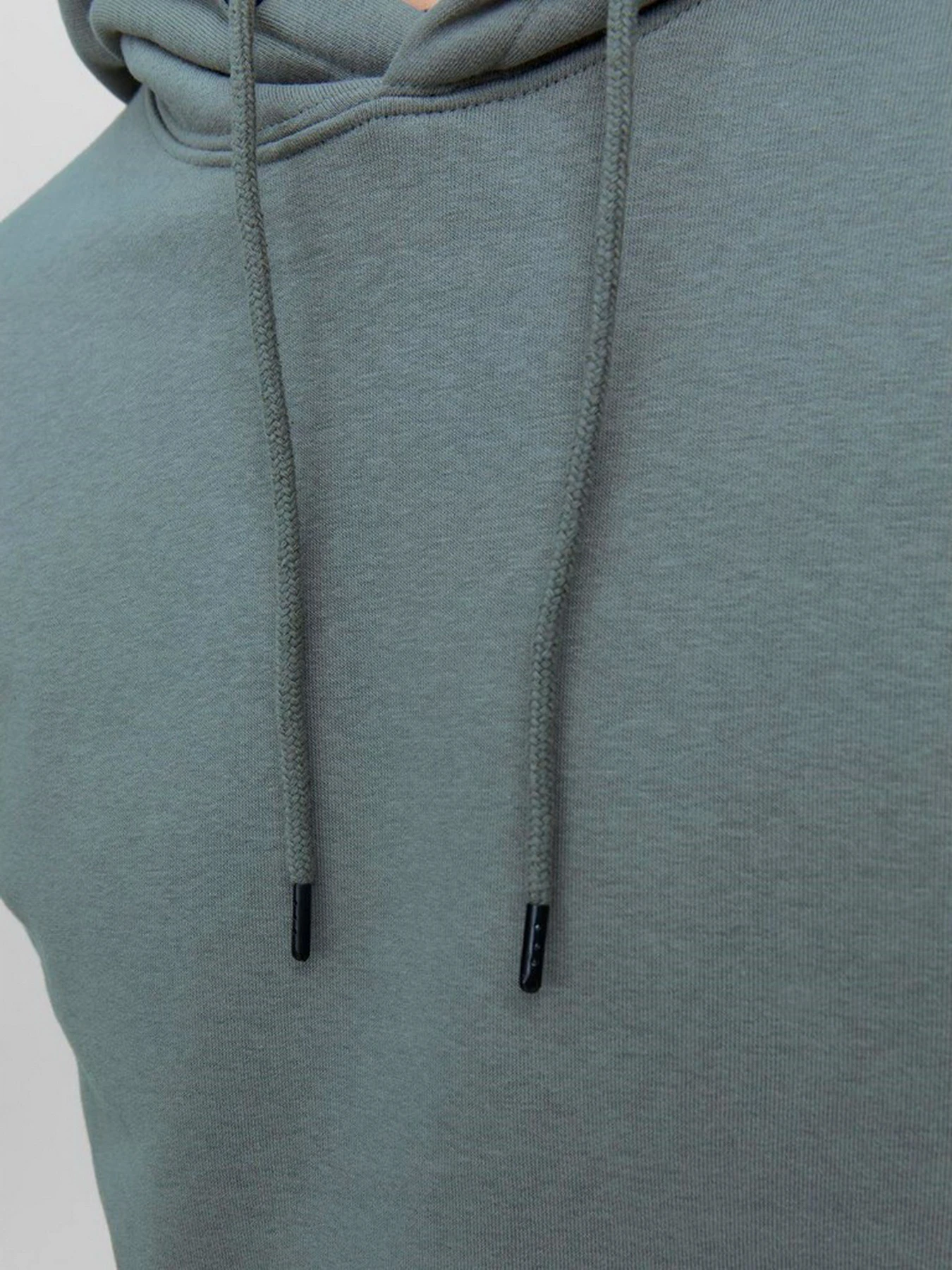 Худі та світшоти JACK & JONES модель 12208157_Sedona Sage Худі та світшоти JACK & JONES модель 12208157_Sedona Sage Фото