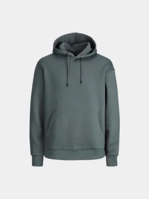 Худі та світшоти JACK & JONES модель 12208157_Sedona Sage Фото