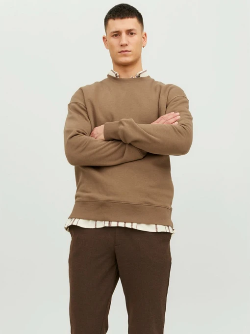 Худи и свитшоты JACK & JONES модель 12208182_Otter Фото
