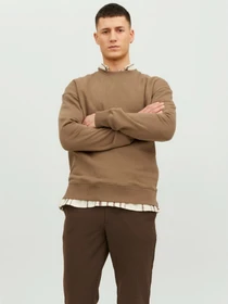 Худи и свитшоты JACK & JONES модель 12208182_Otter Фото