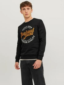 Худі та світшоти JACK & JONES модель 12236177_Black Фото
