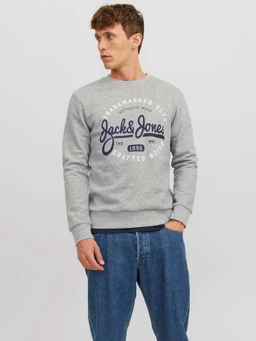 Худи и свитшоты JACK & JONES модель 12236177_Light Grey Melange Фото