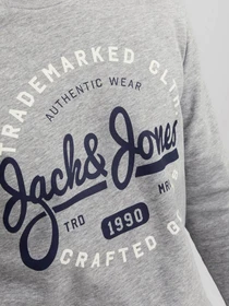 Худі та світшоти JACK & JONES модель 12236177_Light Grey Melange Фото