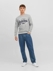 Худі та світшоти JACK & JONES модель 12236177_Light Grey Melange Фото