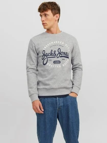 Худі та світшоти JACK & JONES модель 12236177_Light Grey Melange Фото