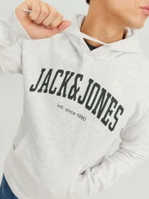 Худі та світшоти JACK & JONES модель 12236513_White Melange Фото