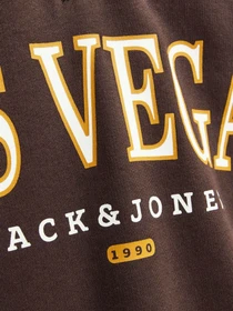Худи и свитшоты JACK & JONES модель 12257392_Seal Brown Фото